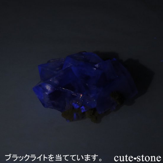 䥪󥷥 ѡץߥ֥롼ե饤Ȥθ 21.8gμ̿6 cute stone