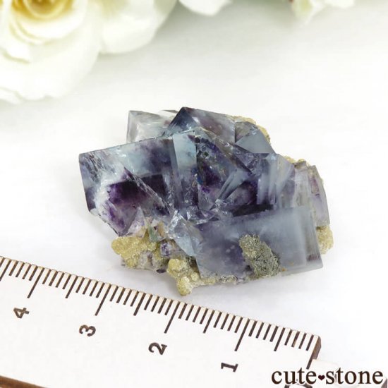 䥪󥷥 ѡץߥ֥롼ե饤Ȥθ 21.8gμ̿7 cute stone