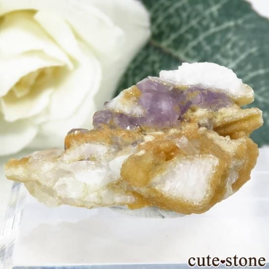 ѥ ɥ ѡץ륢ѥȡĤդ뾽ʸС 9.8g