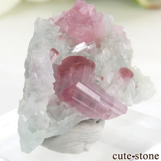 ߥޡ ⥴ ԥ󥯥ȥޥΥ饹ʸС6.5gμ̿3 cute stone