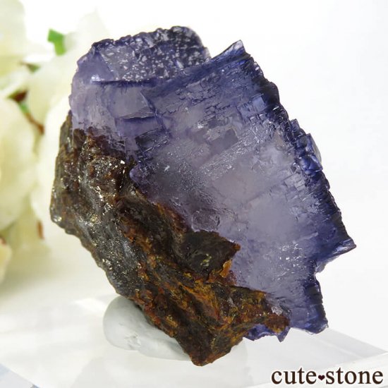 ꥫ ०åɹۻ ѡץ֥롼ե饤ȡե饤Ȥθ 87gμ̿0 cute stone