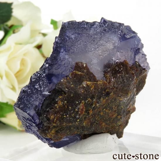 ꥫ ०åɹۻ ѡץ֥롼ե饤ȡե饤Ȥθ 87gμ̿1 cute stone