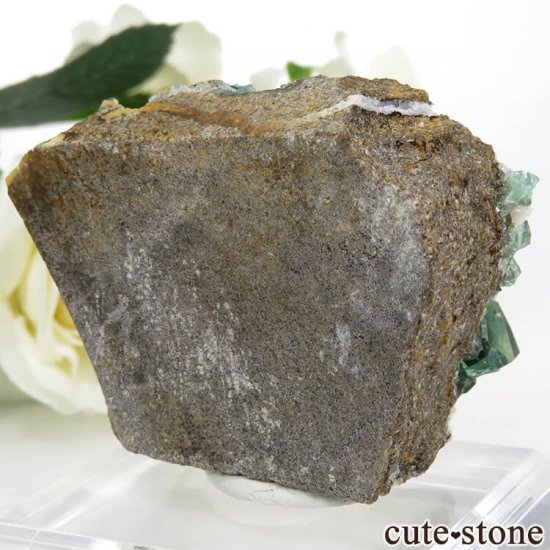 󥰥 Diana Mariaۻ ָե饤Ȥդ뾽ʸС89gμ̿0 cute stone