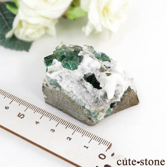 󥰥 Diana Mariaۻ ָե饤Ȥդ뾽ʸС89gμ̿5 cute stone