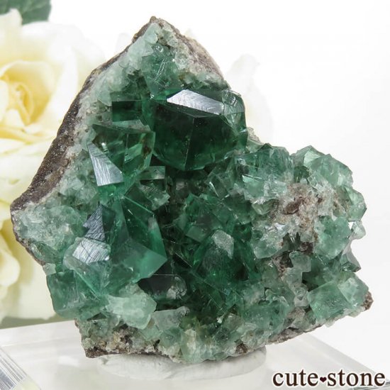 󥰥 Diana Mariaۻ ָե饤ȡĤդ뾽ʸС66gμ̿0 cute stone