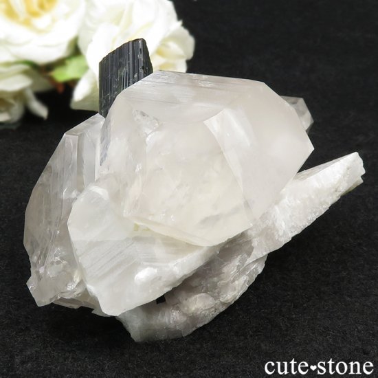 ѥ ꡼󥭥åץȥޥ   279gμ̿2 cute stone