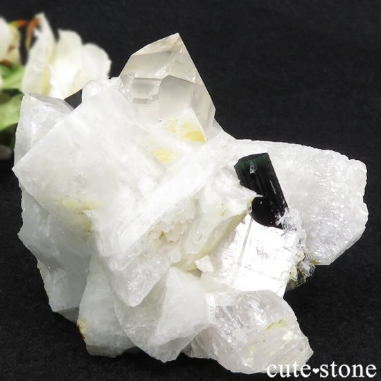 ѥ ꡼󥭥åץȥޥ   231gμ̿0 cute stone