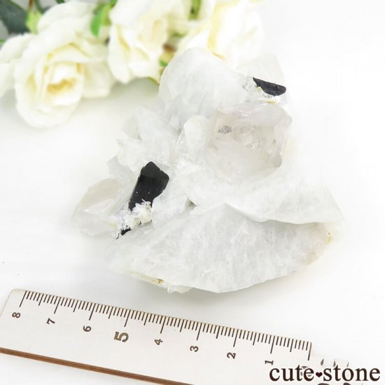 ѥ ꡼󥭥åץȥޥ   231gμ̿6 cute stone