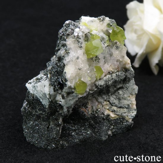 ѥ ɥ եդ 113gμ̿0 cute stone