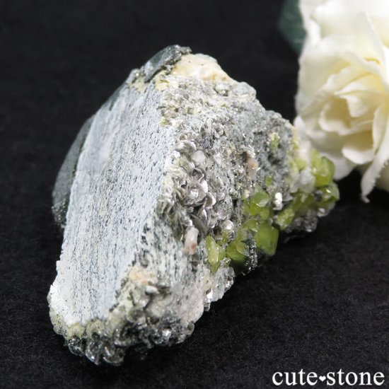 ѥ ɥ եդ 113gμ̿6 cute stone
