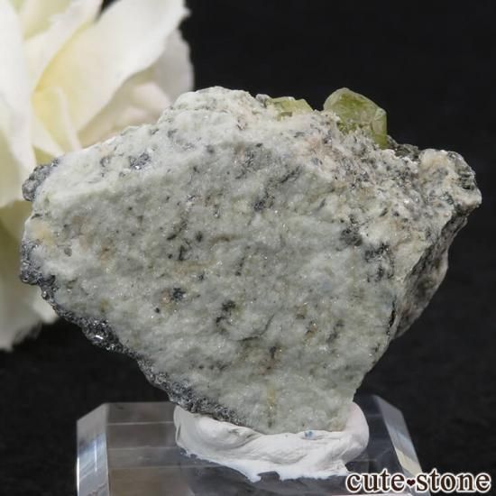 ѥ ɥ եդ 19.5gμ̿0 cute stone