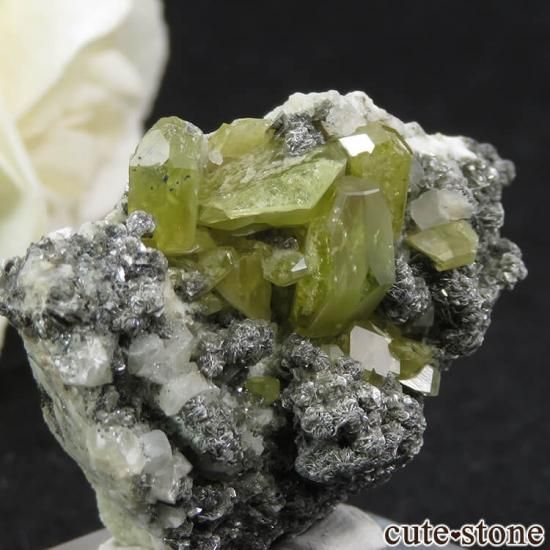 ѥ ɥ եդ 19.5gμ̿2 cute stone