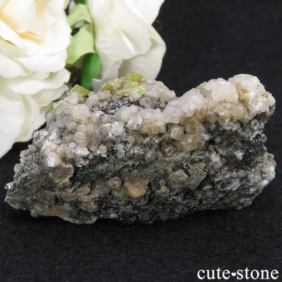 ѥ ɥ եդ 90gμ̿0 cute stone