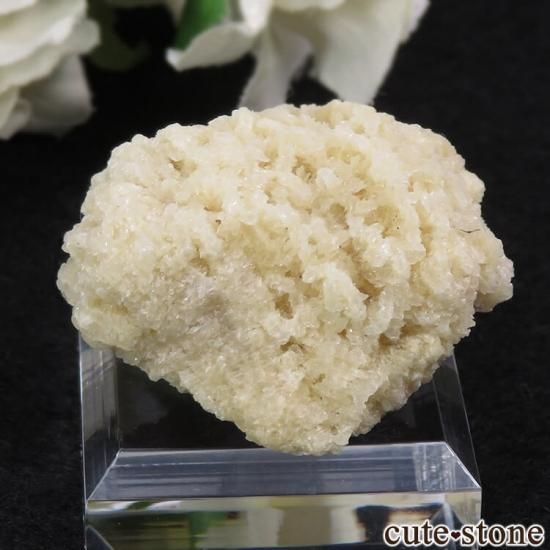 ꥫ ०åɹۻ Х饤Ȥθ 35gμ̿0 cute stone