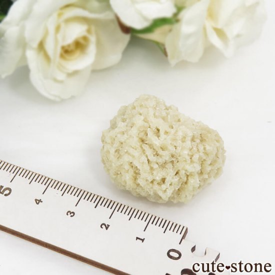 ꥫ ०åɹۻ Х饤Ȥθ 35gμ̿1 cute stone