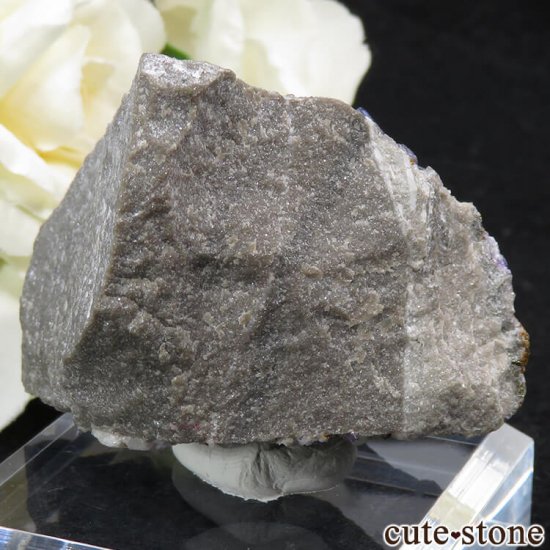 ꥫ ०åɹۻ ѡץ֥롼ե饤ȡե饤Ȥθ 100gμ̿0 cute stone
