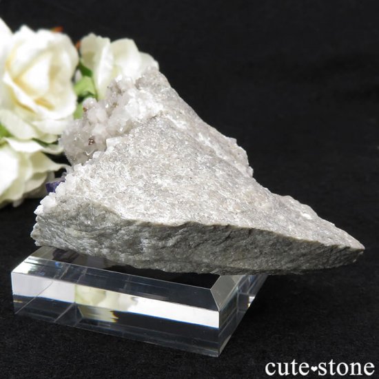 ꥫ ०åɹۻ ѡץ֥롼ե饤ȡե饤Ȥθ 166gμ̿1 cute stone