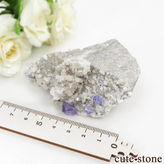 ꥫ ०åɹۻ ѡץ֥롼ե饤ȡե饤Ȥθ 166gμ̿5 cute stone