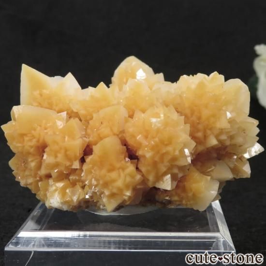  ʻ 륵Ȥη뾽ʸС 83g