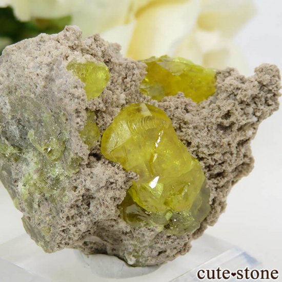 ꥢ ꥢ Cianciana Mines եդ뾽ʸС 23.2gμ̿0 cute stone