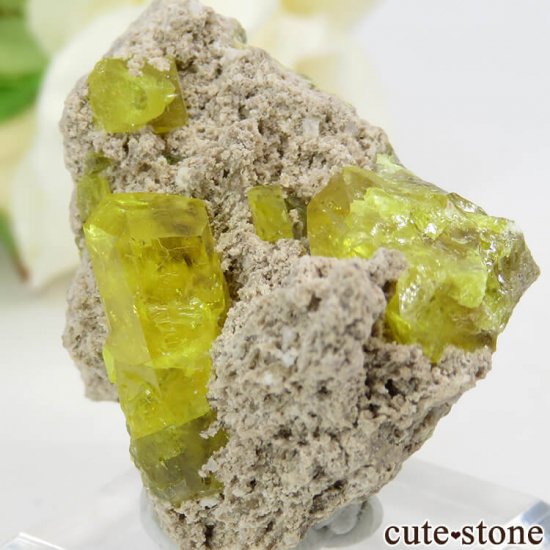 ꥢ ꥢ Cianciana Mines եդ뾽ʸС 23.2gμ̿2 cute stone