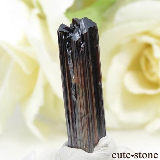 アメリカ ノース・カロライナ州 ルチルの結晶 9.2ct - cute stone -