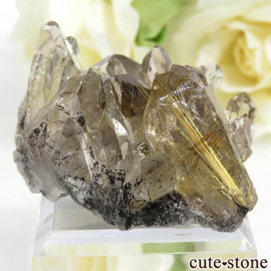 ֥饸 Х 륤󥯥ĤθСʥ饹27.7gμ̿0 cute stone
