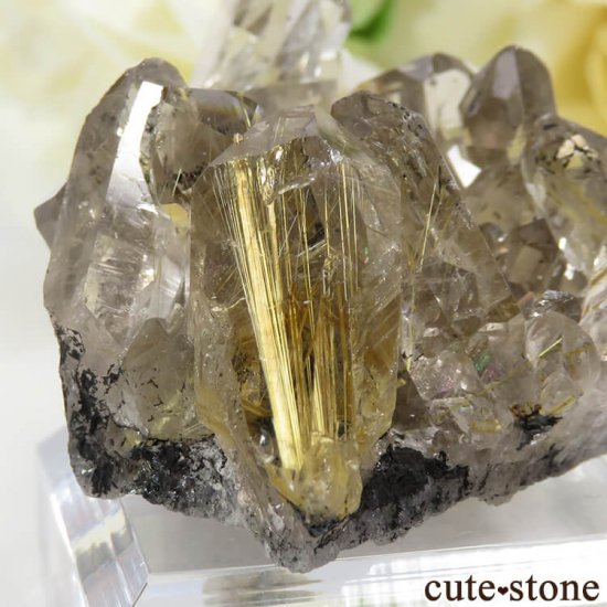 ֥饸 Х 륤󥯥ĤθСʥ饹27.7gμ̿5 cute stone