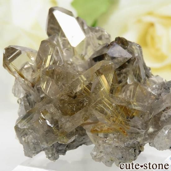 ֥饸 Х 륤󥯥ĤθСʥ饹20.5gμ̿2 cute stone