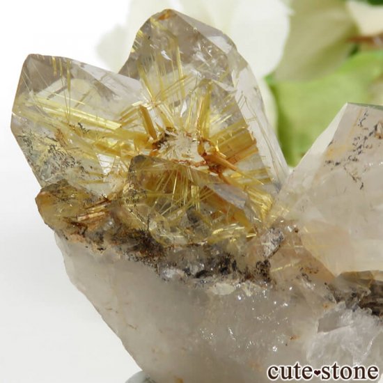 ֥饸 Х 륤󥯥ĤθСʥ饹28.6gμ̿2 cute stone