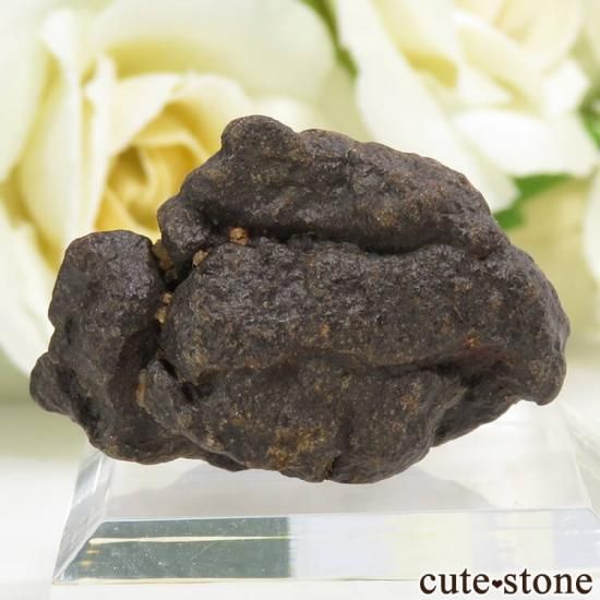 隕石の標本 サハラNWA869隕石の標本 13.2g - cute stone -