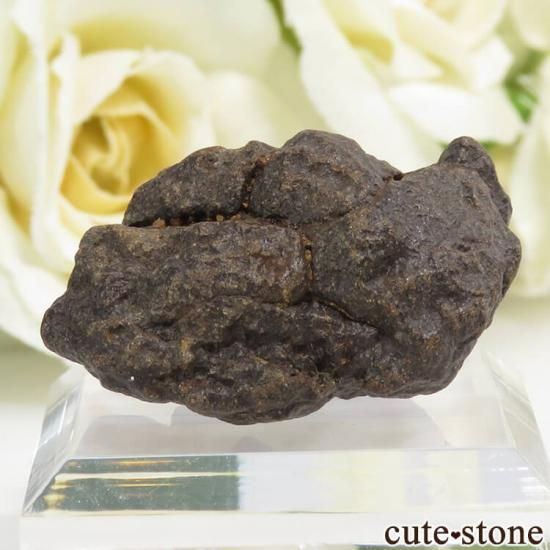 サハラNWA869隕石の標本 13.2gの写真1 cute stone