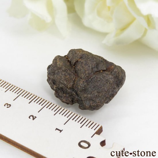 ϥNWA869Фɸ 13.2gμ̿2 cute stone