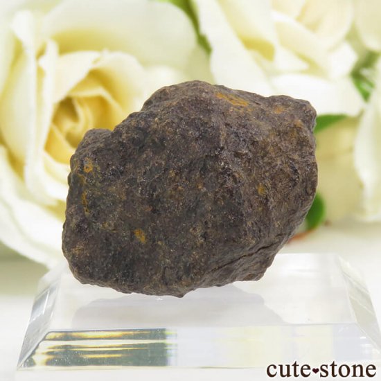 ϥNWA869Фɸ 10gμ̿0 cute stone
