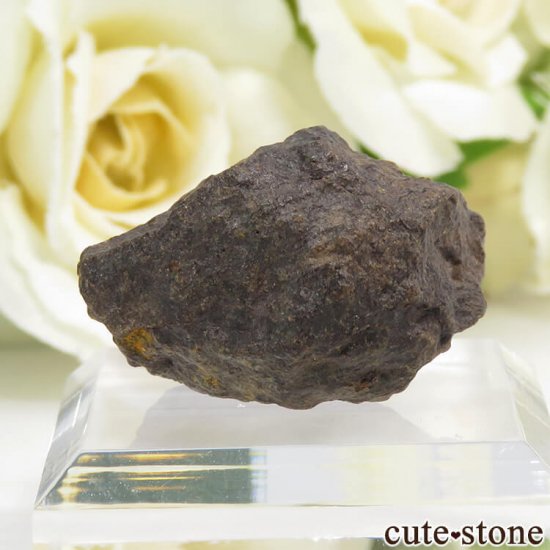 ϥNWA869Фɸ 10gμ̿1 cute stone
