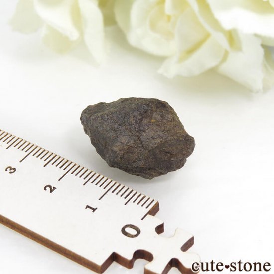 ϥNWA869Фɸ 10gμ̿2 cute stone