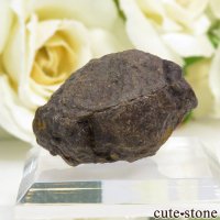 サハラNWA869隕石の標本 10gの画像
