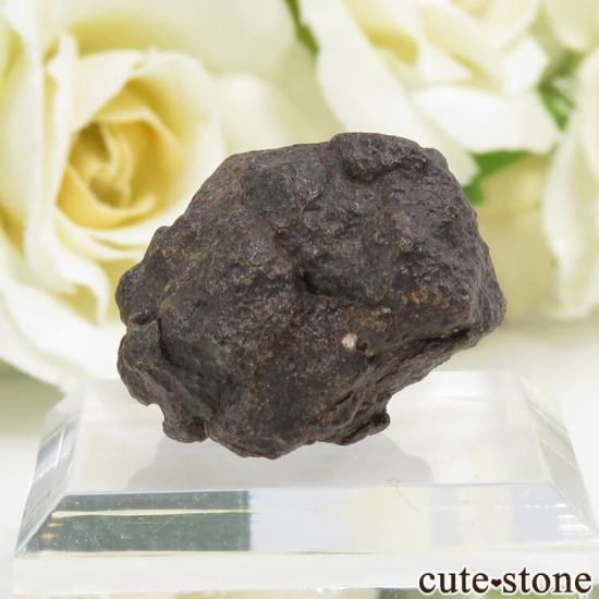 サハラNWA869隕石の標本 9.1gの写真1 cute stone