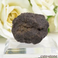 サハラNWA869隕石の標本 9.1gの画像