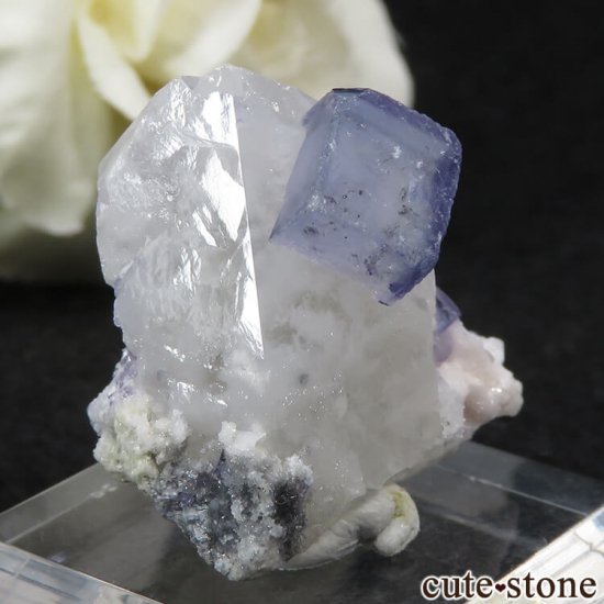 䥪󥷥 ֥롼ե饤ȡĤθ 11.8gμ̿0 cute stone