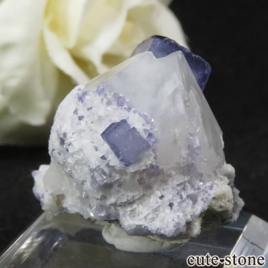 䥪󥷥 ֥롼ե饤ȡĤθ 11.8gμ̿1 cute stone