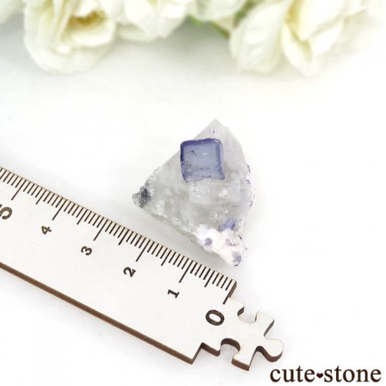 䥪󥷥 ֥롼ե饤ȡĤθ 11.8gμ̿5 cute stone