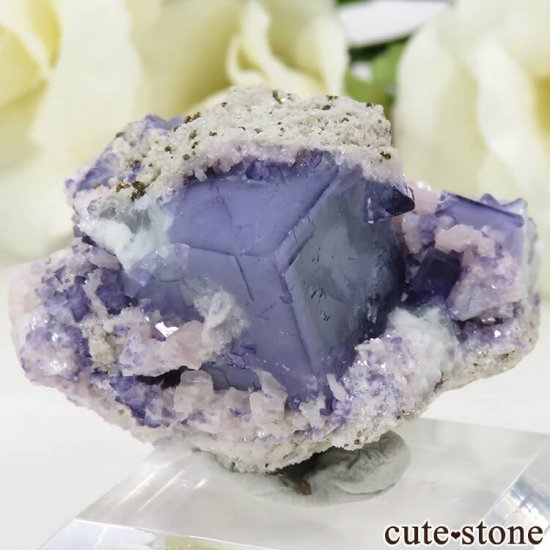 䥪󥷥 ֥롼ե饤 25.8gμ̿0 cute stone