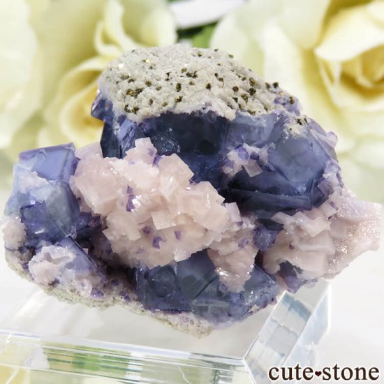 䥪󥷥 ֥롼ե饤 25.8gμ̿2 cute stone