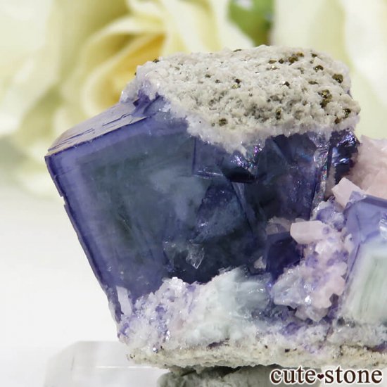 䥪󥷥 ֥롼ե饤 25.8gμ̿3 cute stone