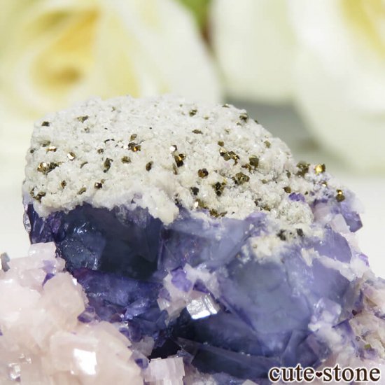 䥪󥷥 ֥롼ե饤 25.8gμ̿4 cute stone
