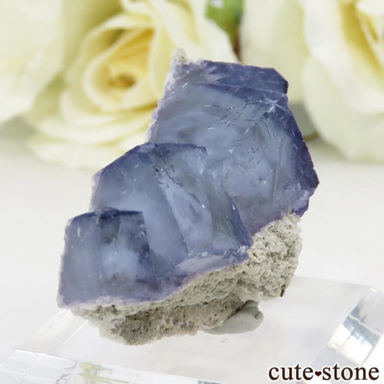 䥪󥷥 ֥롼ե饤 12.9gμ̿0 cute stone