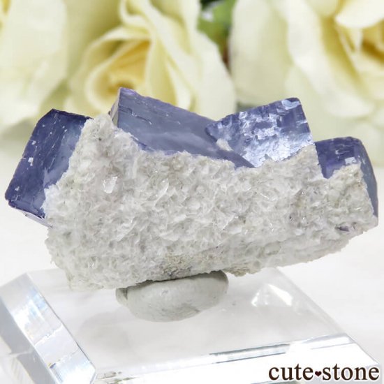 䥪󥷥 ֥롼ե饤 12.9gμ̿1 cute stone