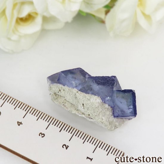 䥪󥷥 ֥롼ե饤 12.9gμ̿2 cute stone