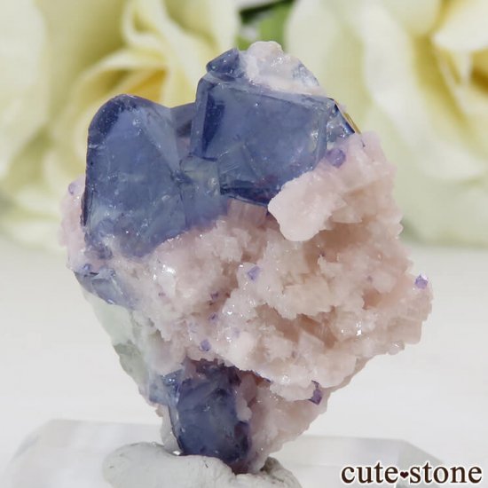 䥪󥷥 ֥롼ե饤 12.5gμ̿1 cute stone
